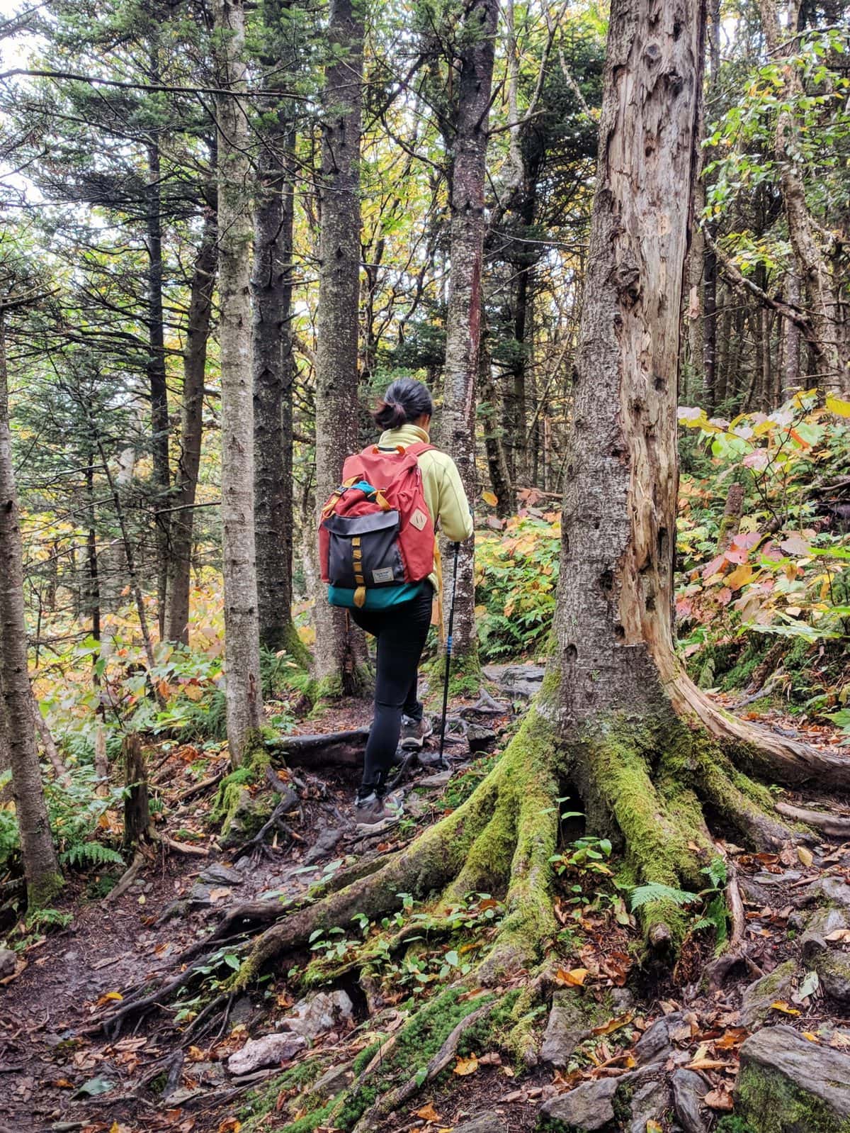 Mt Greylock hiking