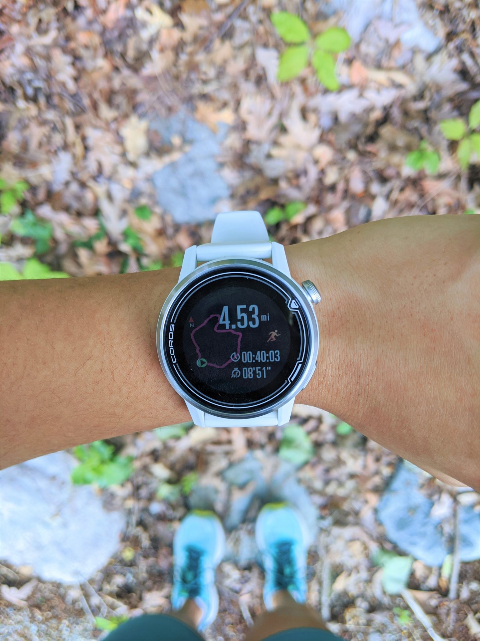 Garmin Forerunner 45 vs. 245 Which Should You Pick?