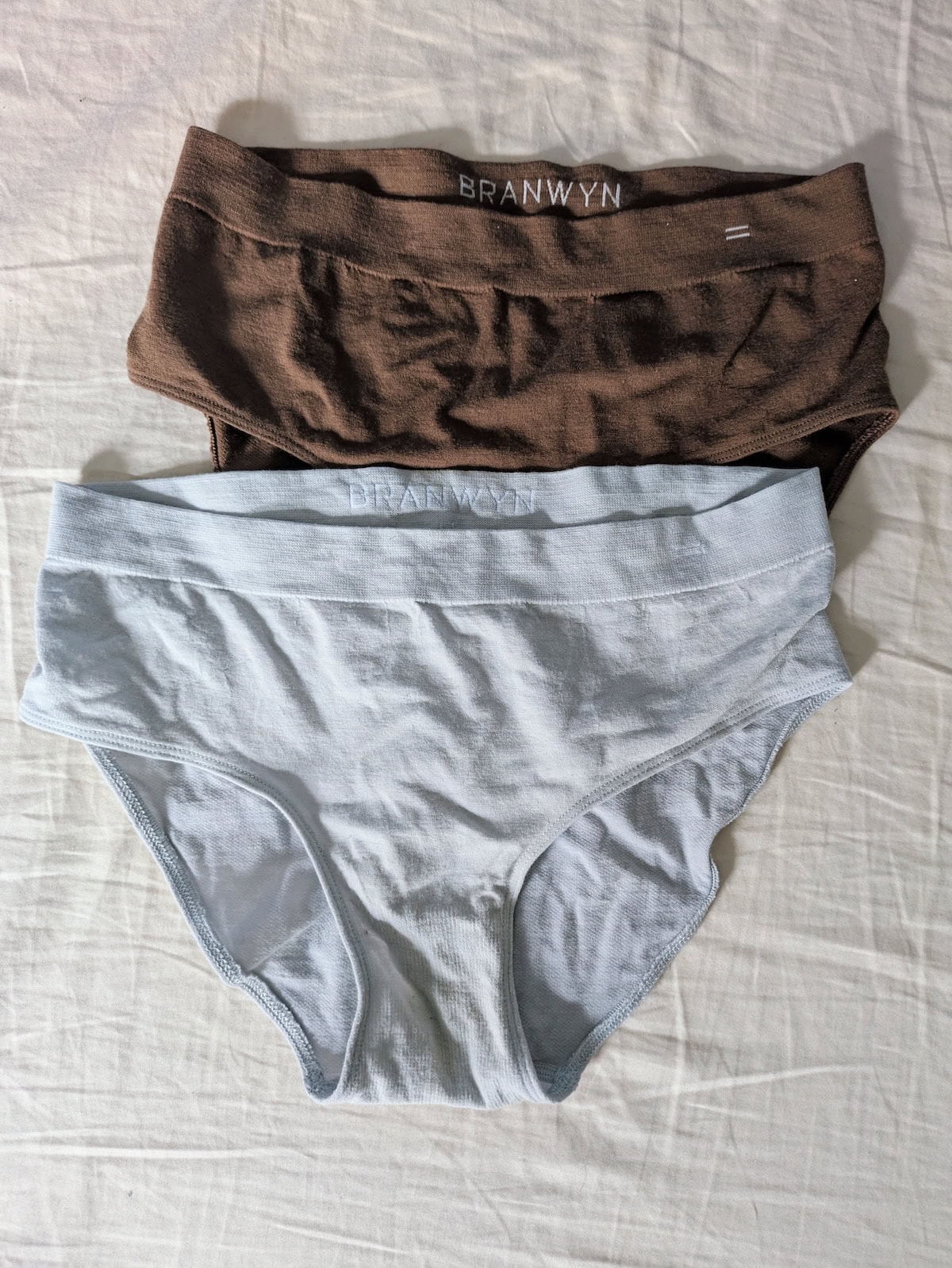 Photo of two BRANWYN briefs