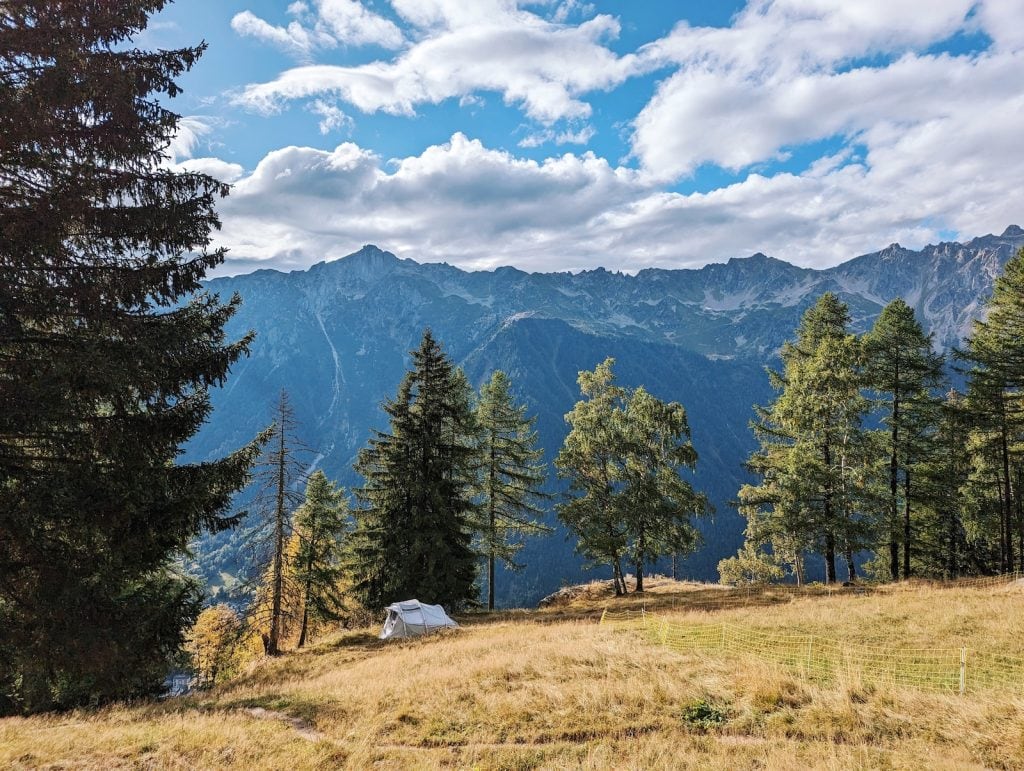 Yellow grass field overlooking the mountains