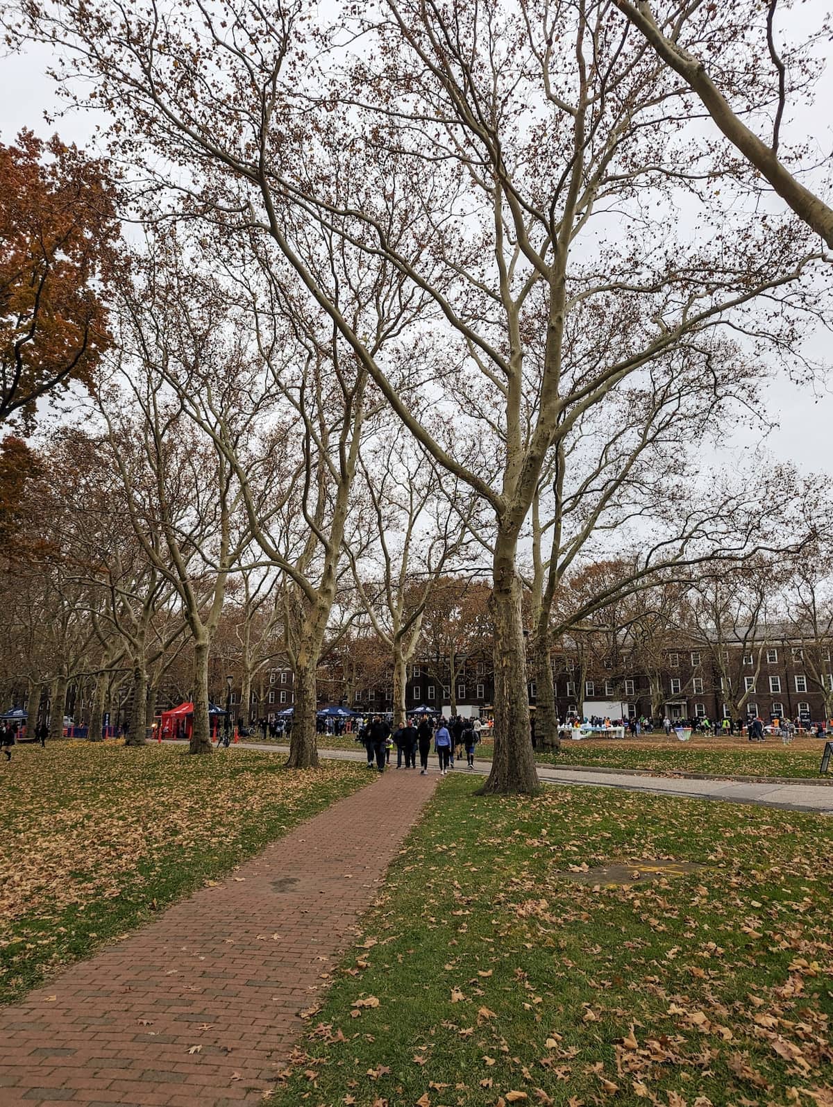 Governor's Island in November with some leaves