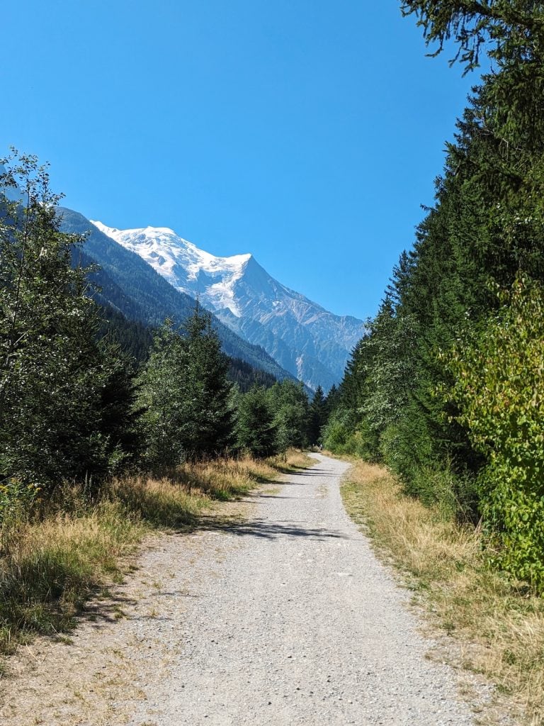 View of the mountains through the forest