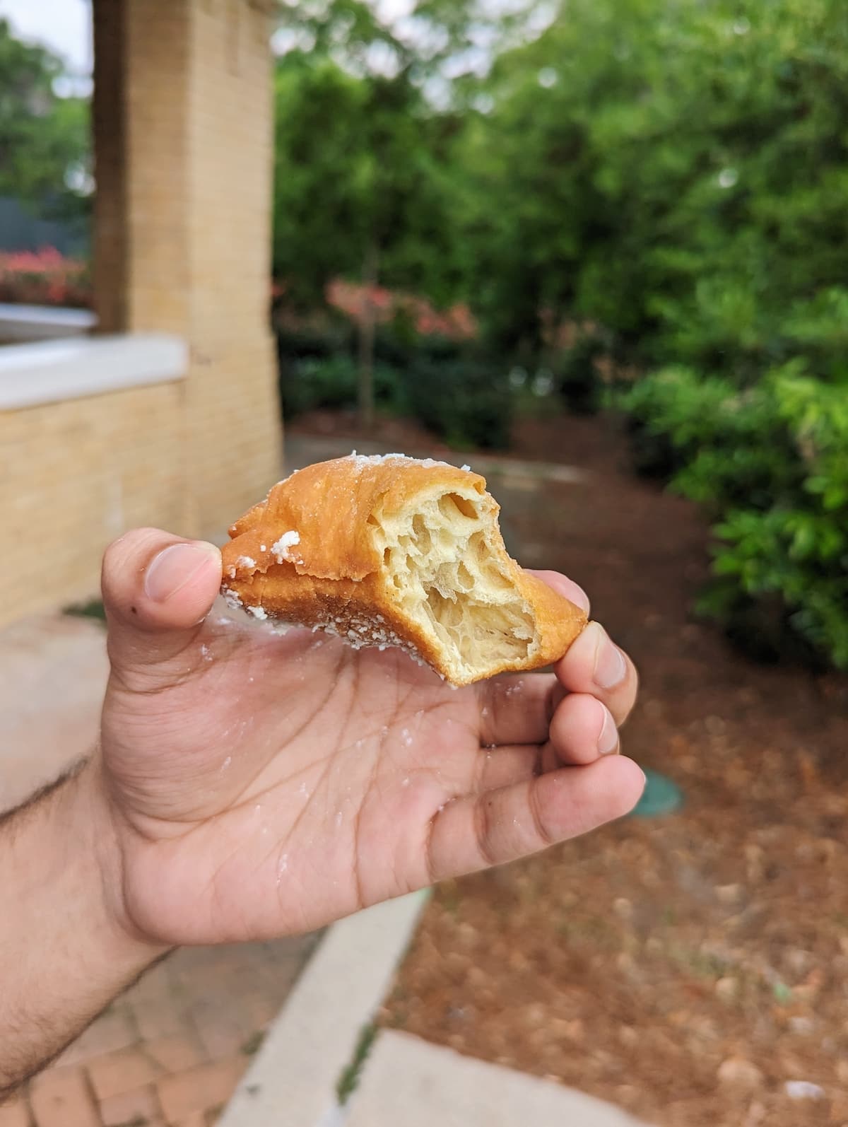 Beignet from Cafe du Monde with a bite out of it and a light, airy inside
