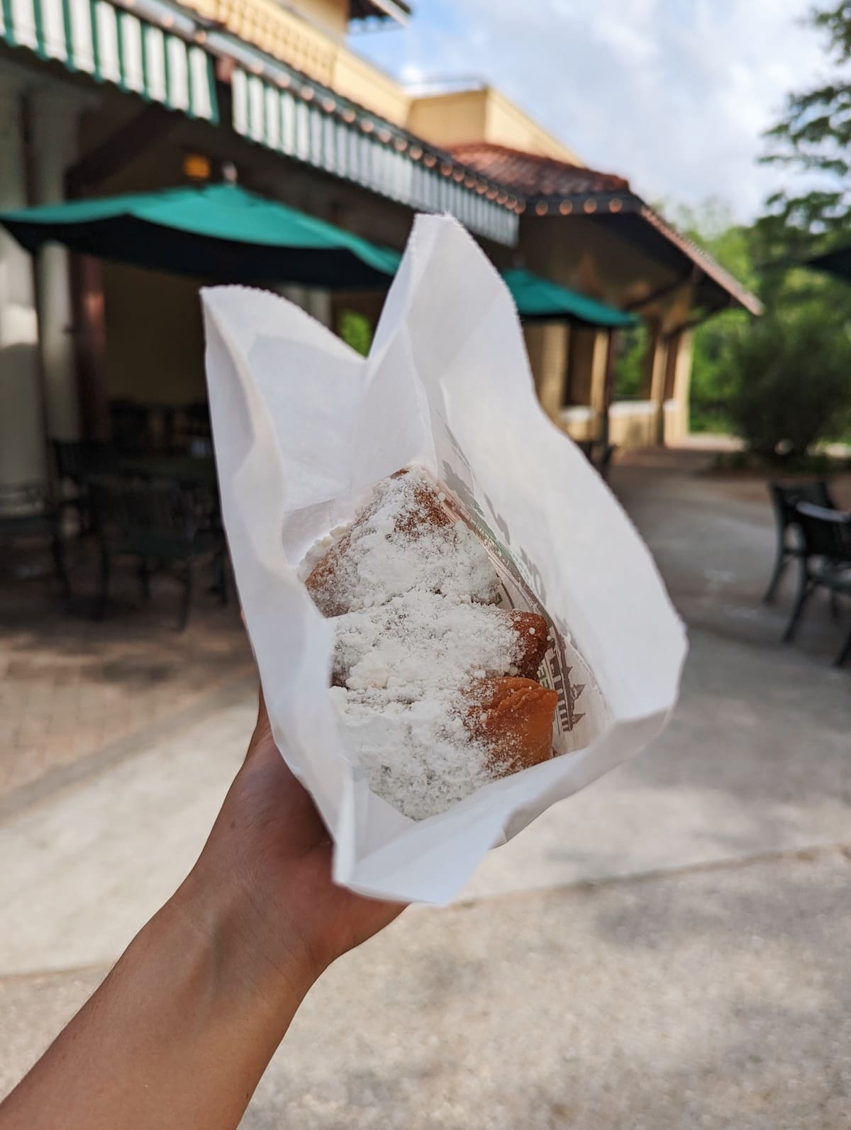 Cafe du Monde beignets in the bag