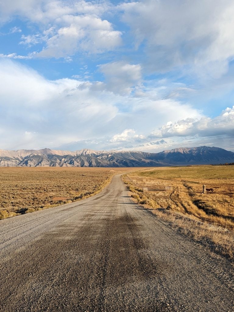 View down a dirt road surrounded by golden grass and mountains in the distance