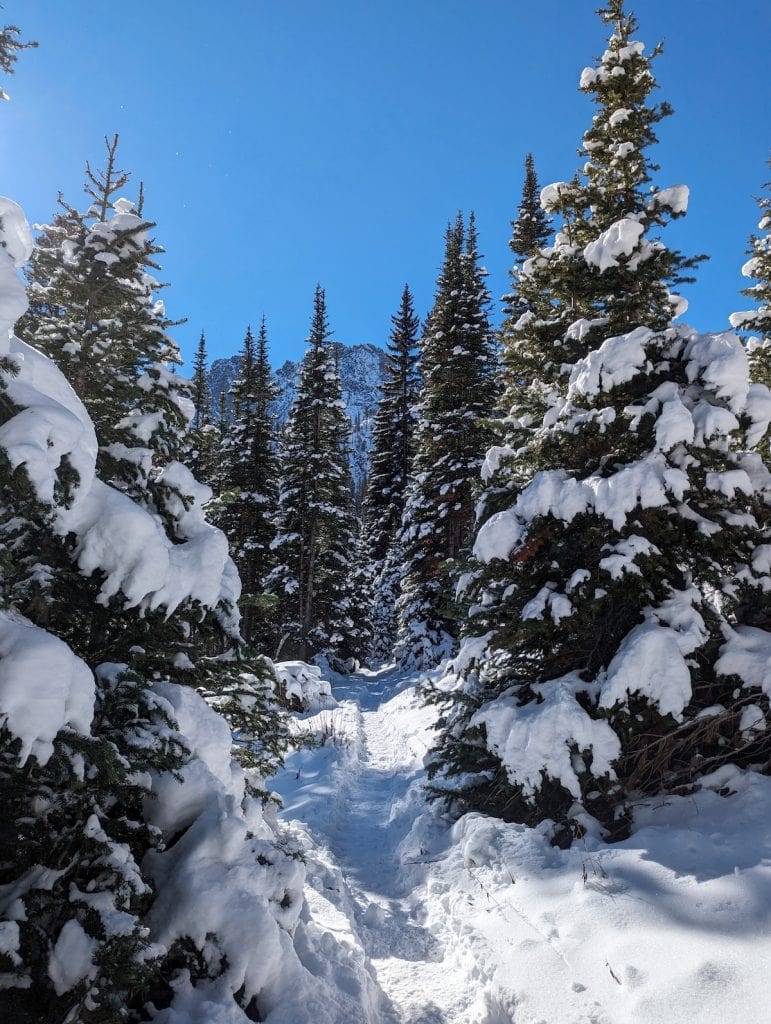 Snow-covered trees during the Sawtooth Lake hike
