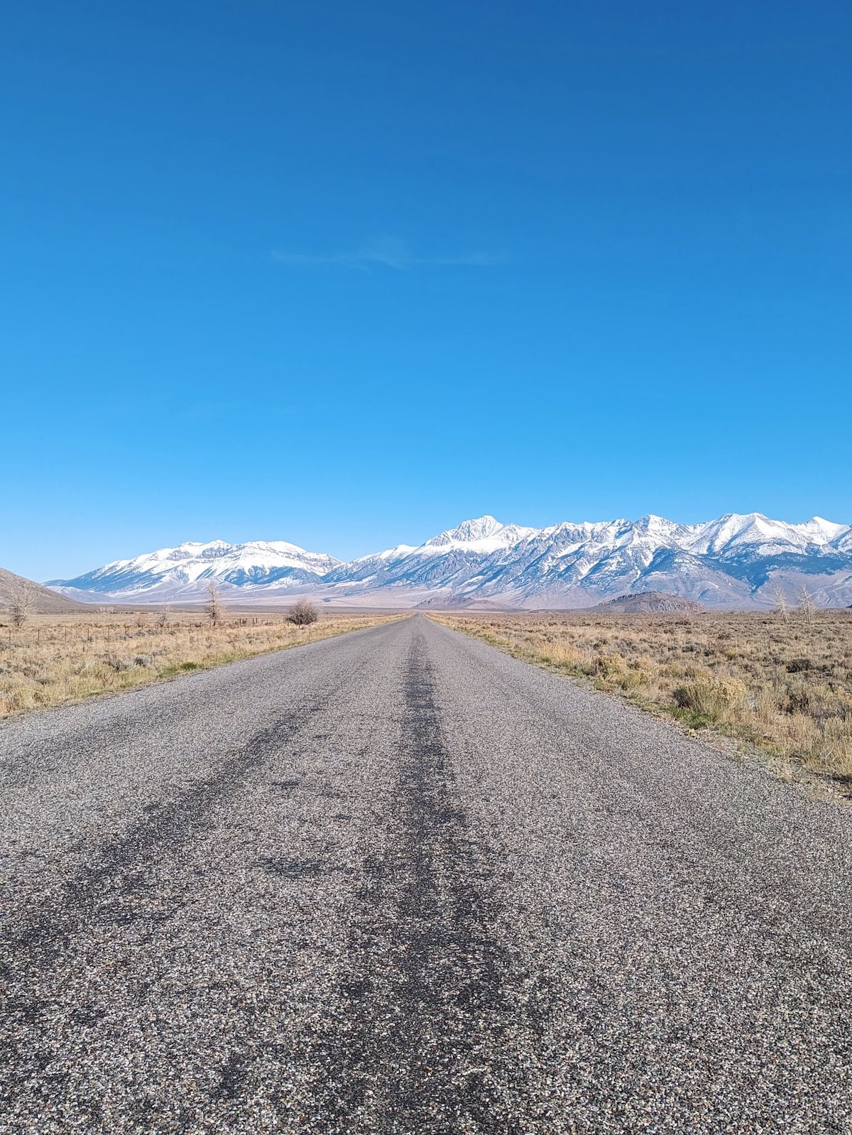 Paved part of Trail Creek Road with mountains in the distance