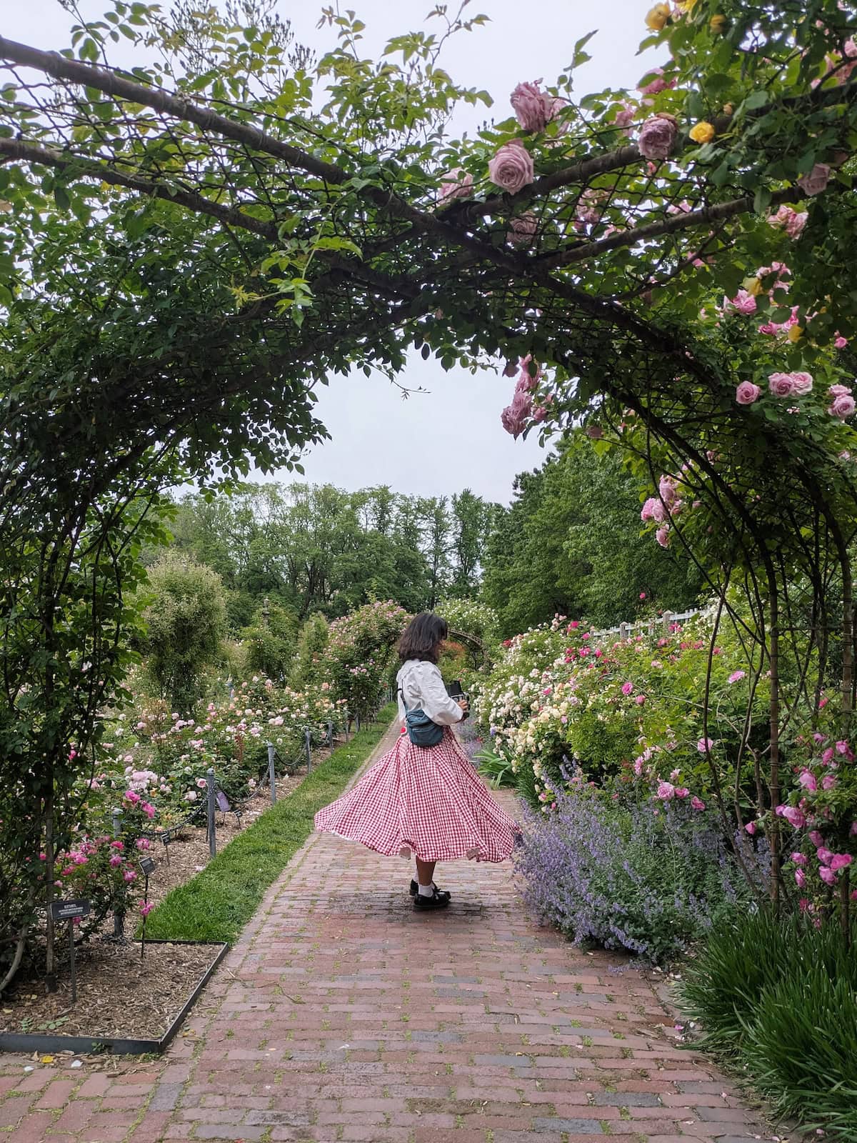 Me twirling in the Son de Flor red gingham wrap skirt in a rose garden