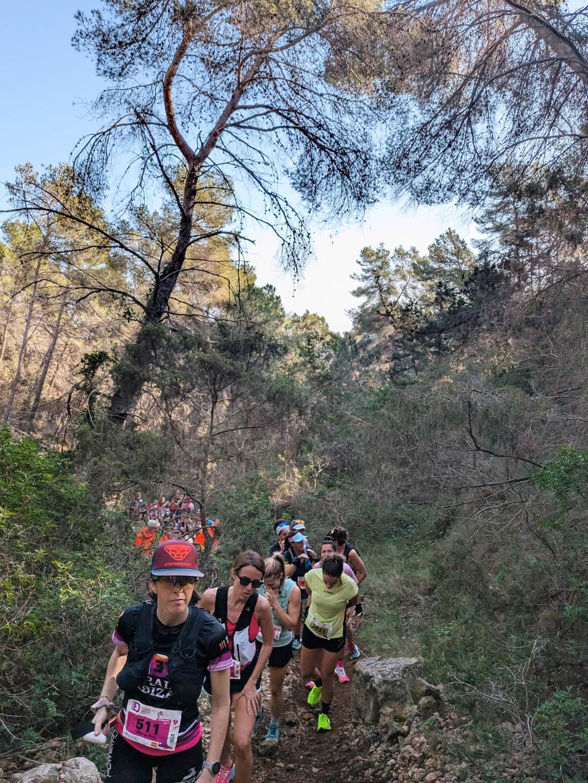 The traffic jam going uphill in the forest during the 3 Dias Trail Ibiza