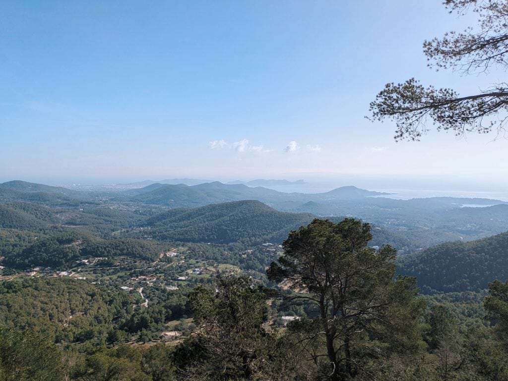 View of the mountains and trees from the trail