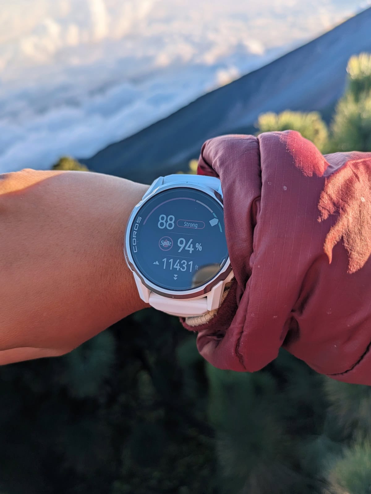 COROS APEX 4 in altitude mode 