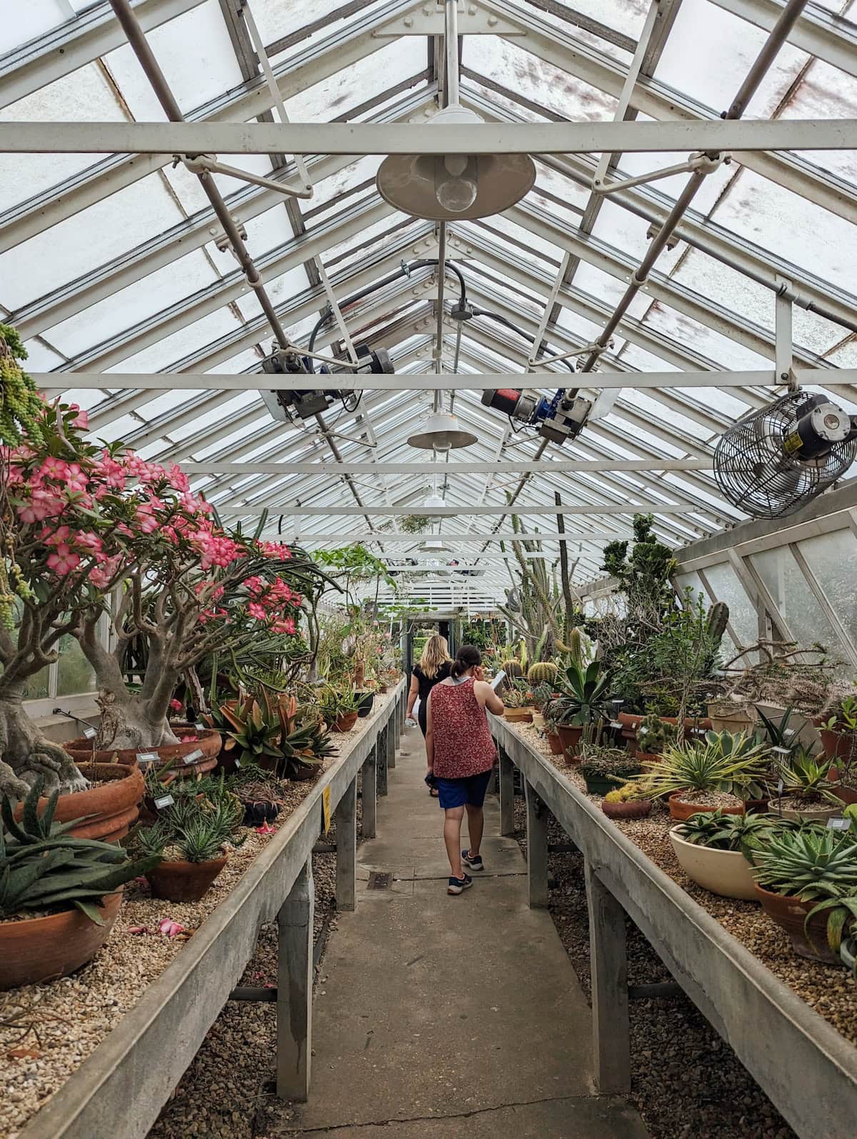 New Orleans Botanical Garden greenhouse