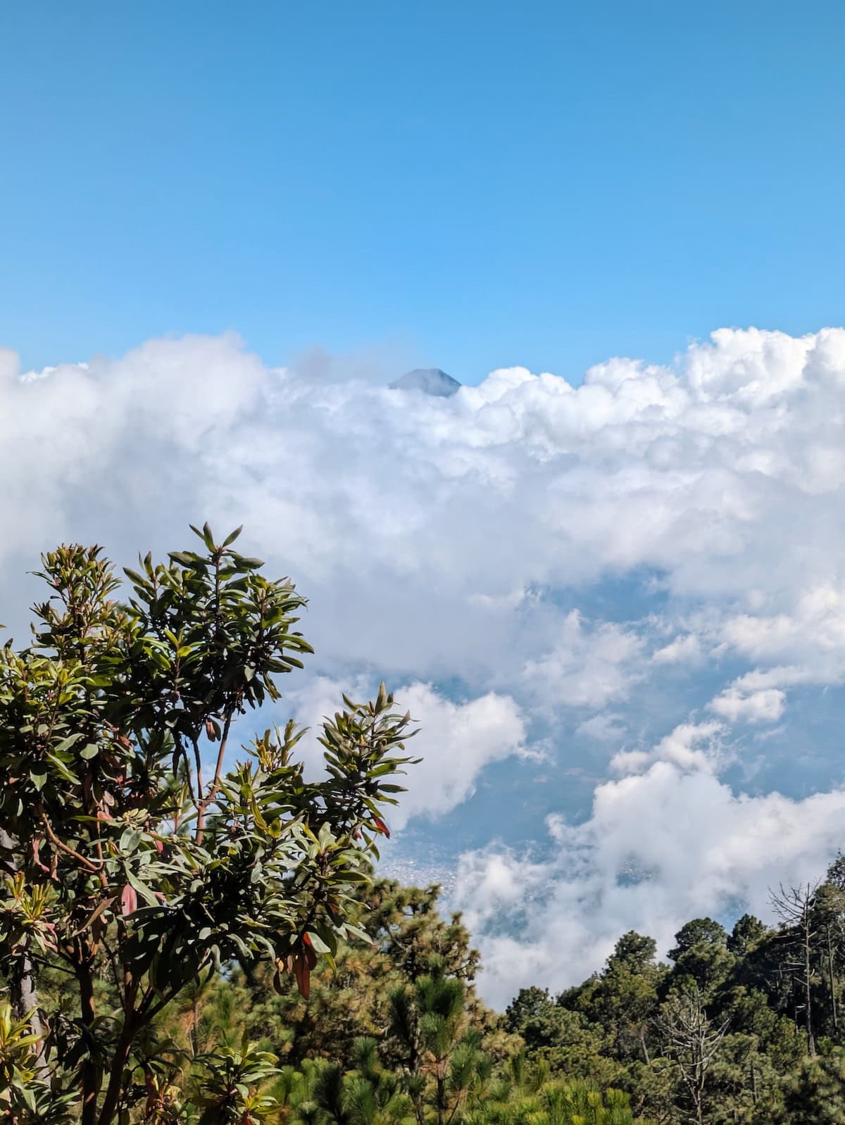 View of the clouds during the Acatenango hike to base camp