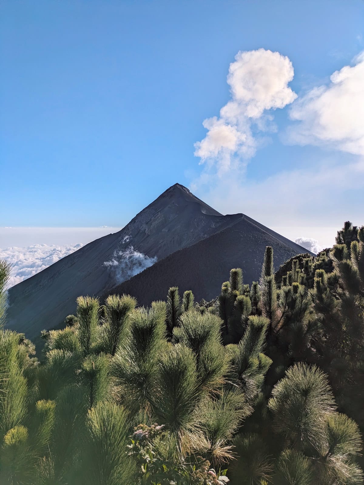 View of smoking Fuego Volcano at Acatenango Base Camp