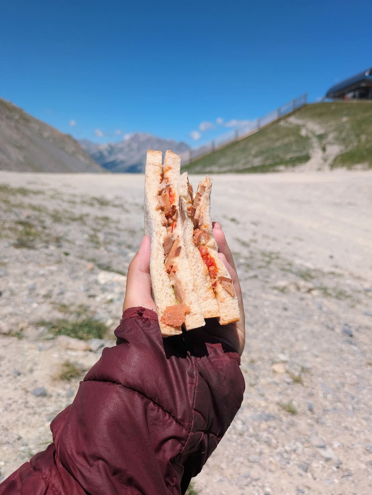 Vegan sandwich in the mountains
