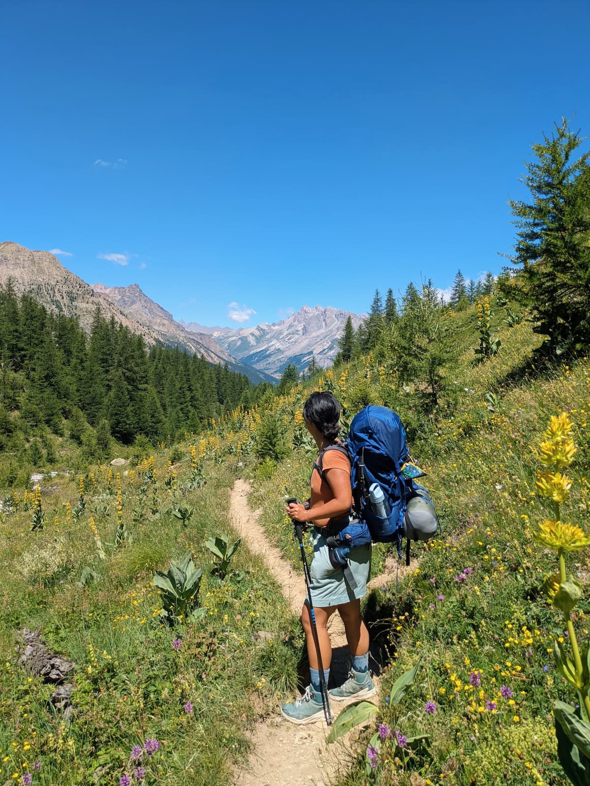 Me looking at the peaks behind me surrounded by wildflowers