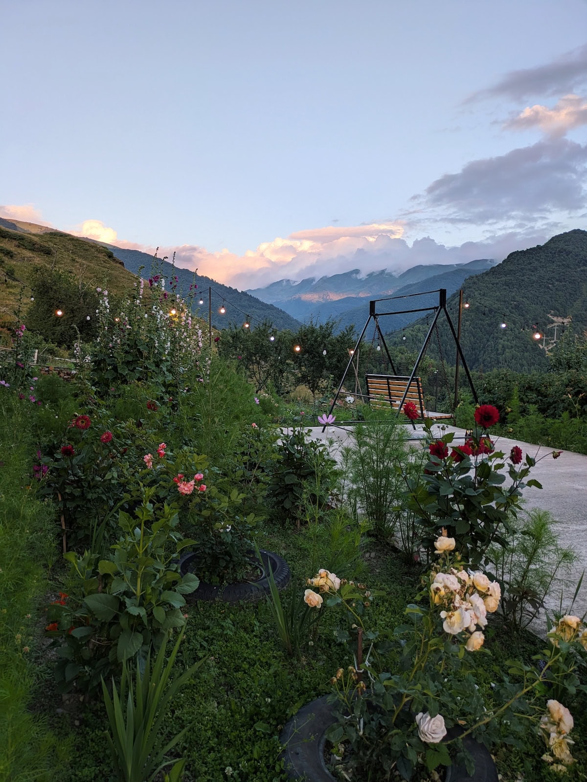 Garden with flowers at Guest House Betegi