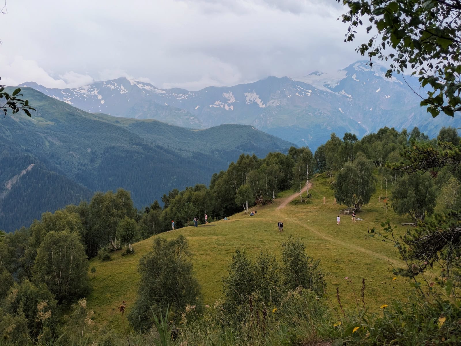 View of a green field on Hatsvali Mountain with snow-capped mountains in the background