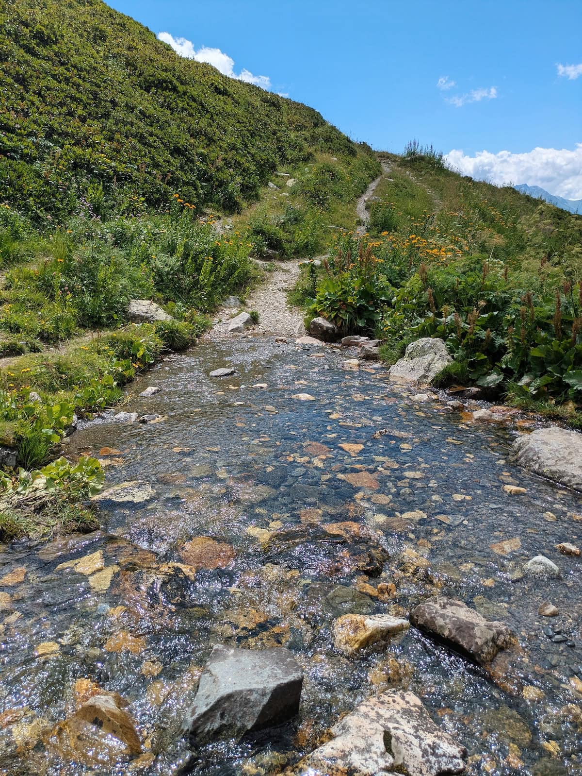 Clear mountain stream on the trail