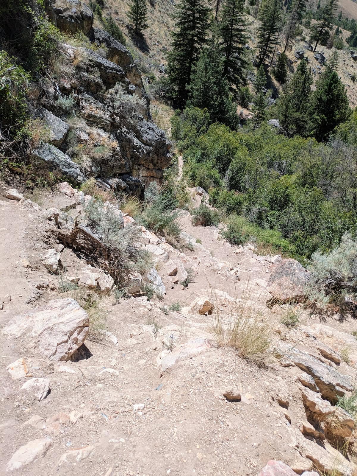 steep trail to Goldbug Hot Springs