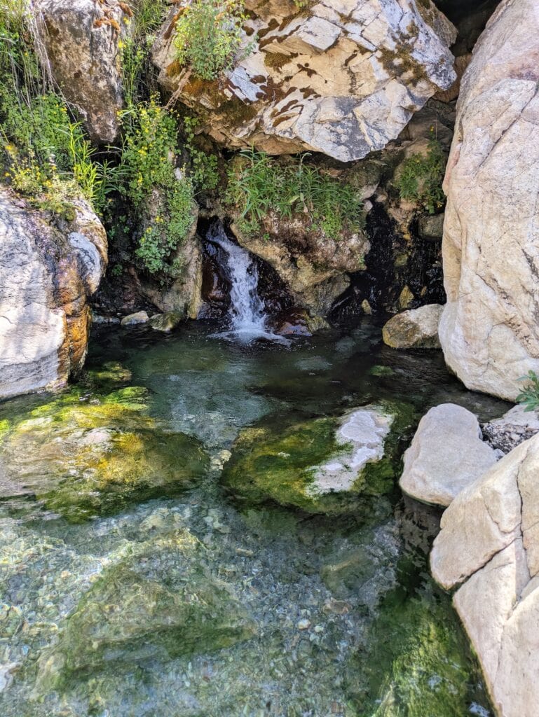 Small waterfall in Goldbug Hot Springs