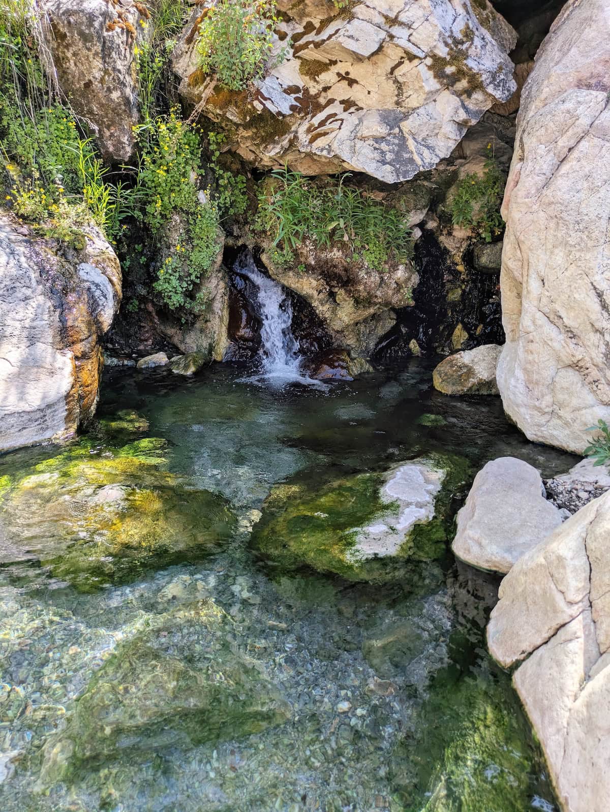 Small waterfall in Goldbug Hot Springs