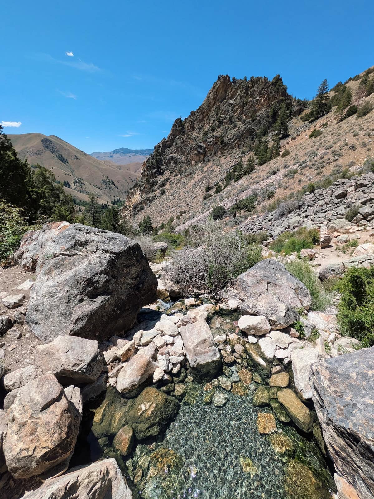 Goldbug Hot Springs from above