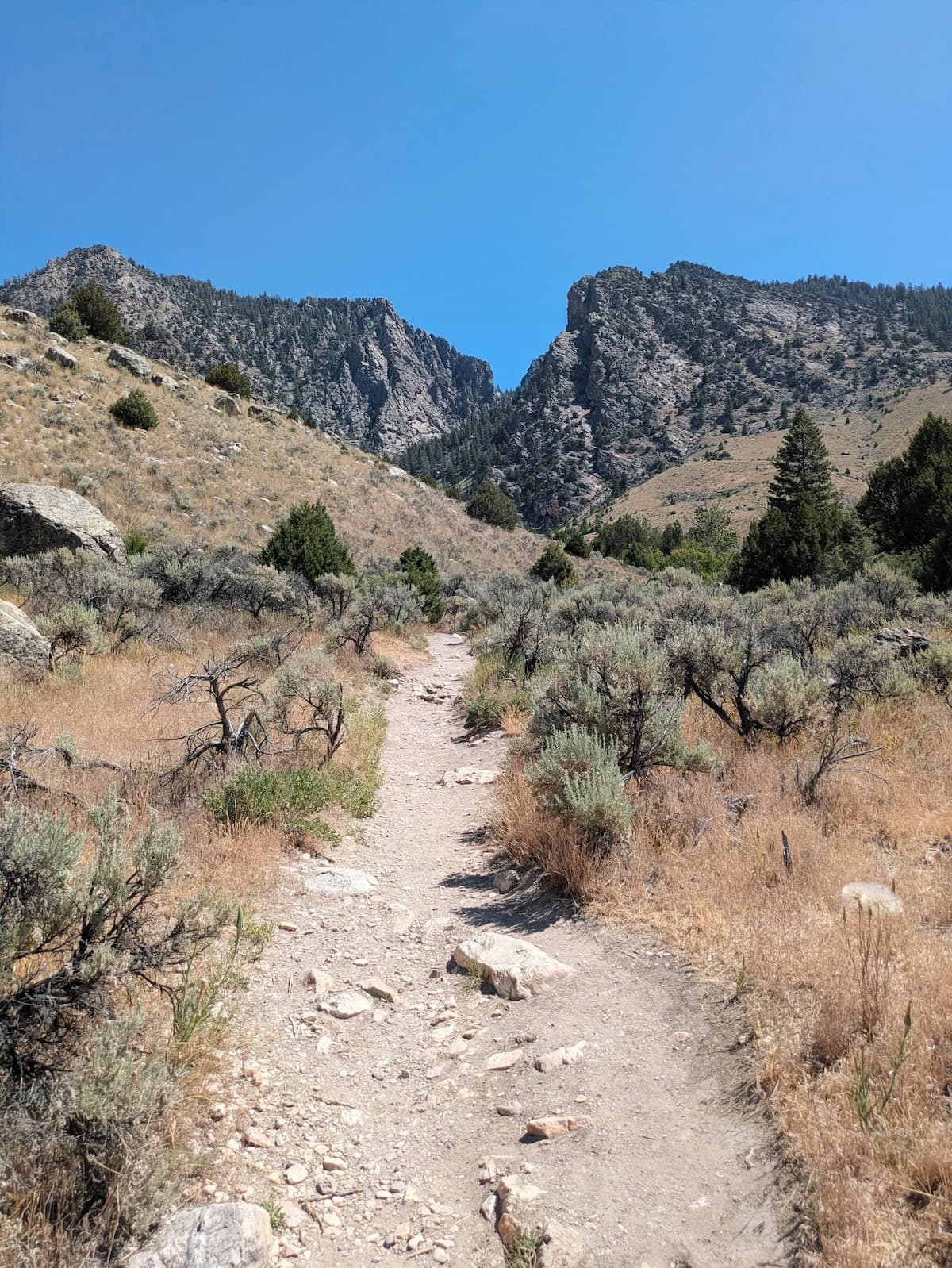 Trail to Goldbug Hot Springs